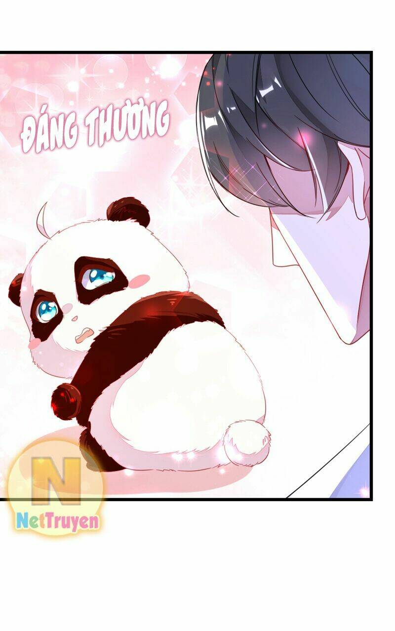 thiên thần gấu trúc muốn được ôm chapter 15 13