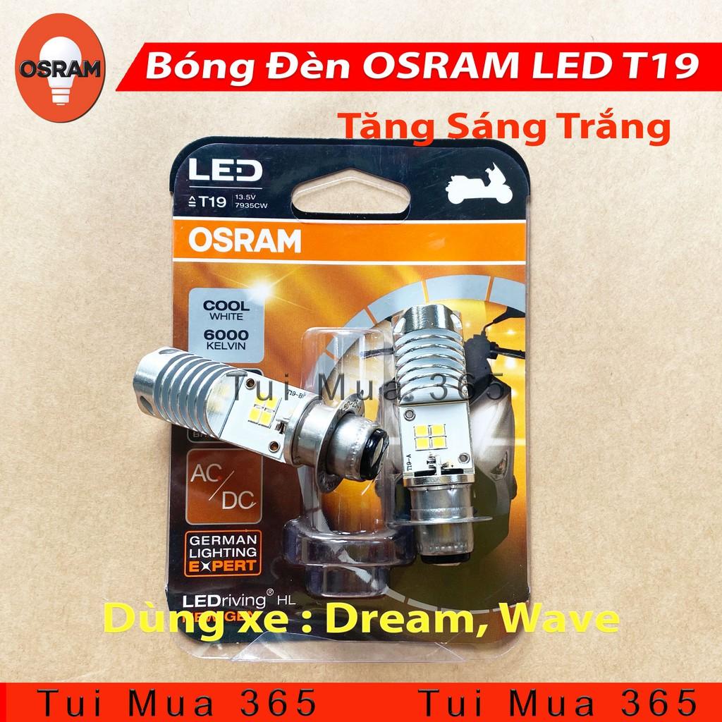 Bóng đèn LED tăng sáng trắng T19 Dream, Wave