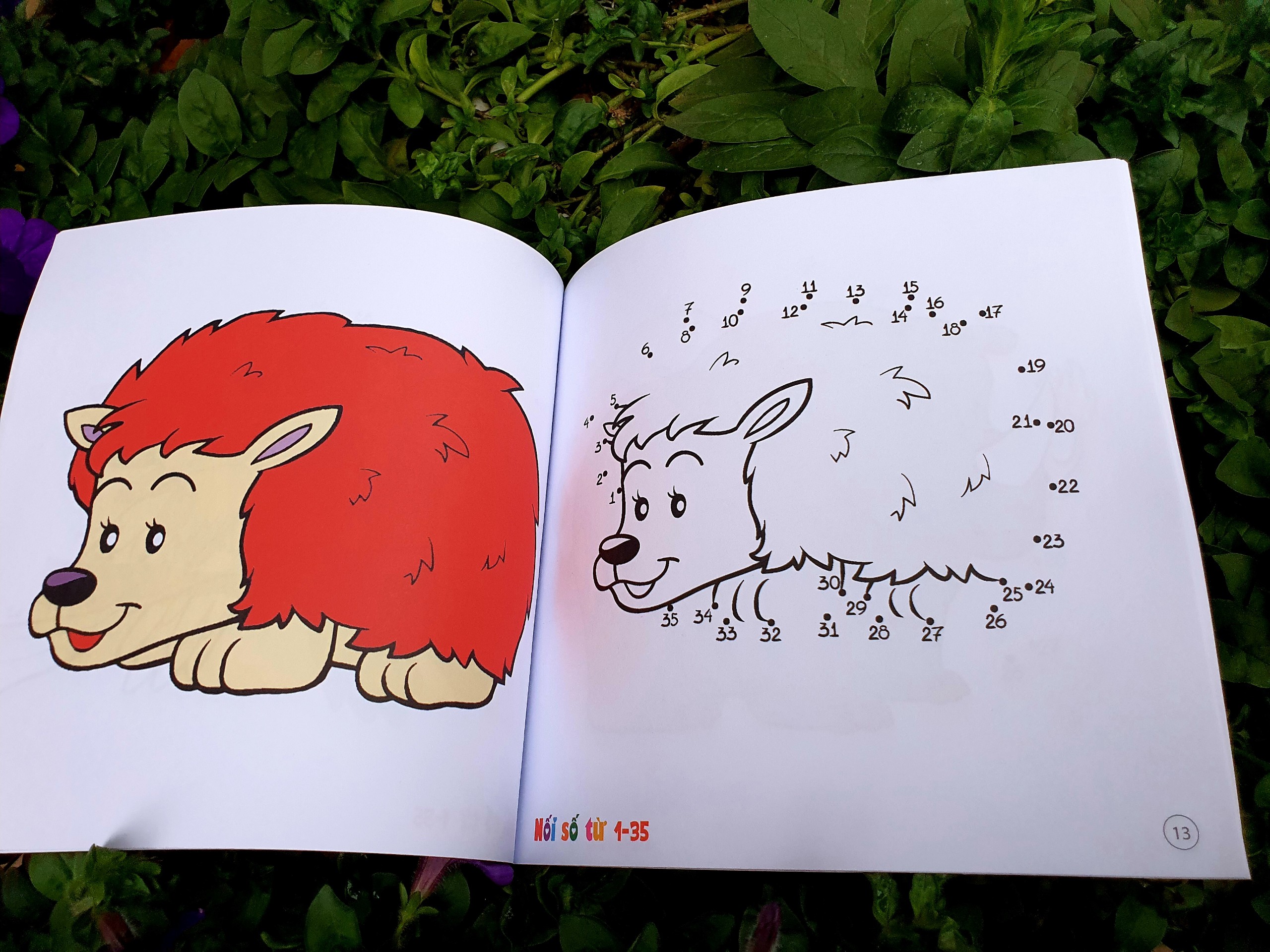 Bộ Bé Tô Màu Sáng Tạo