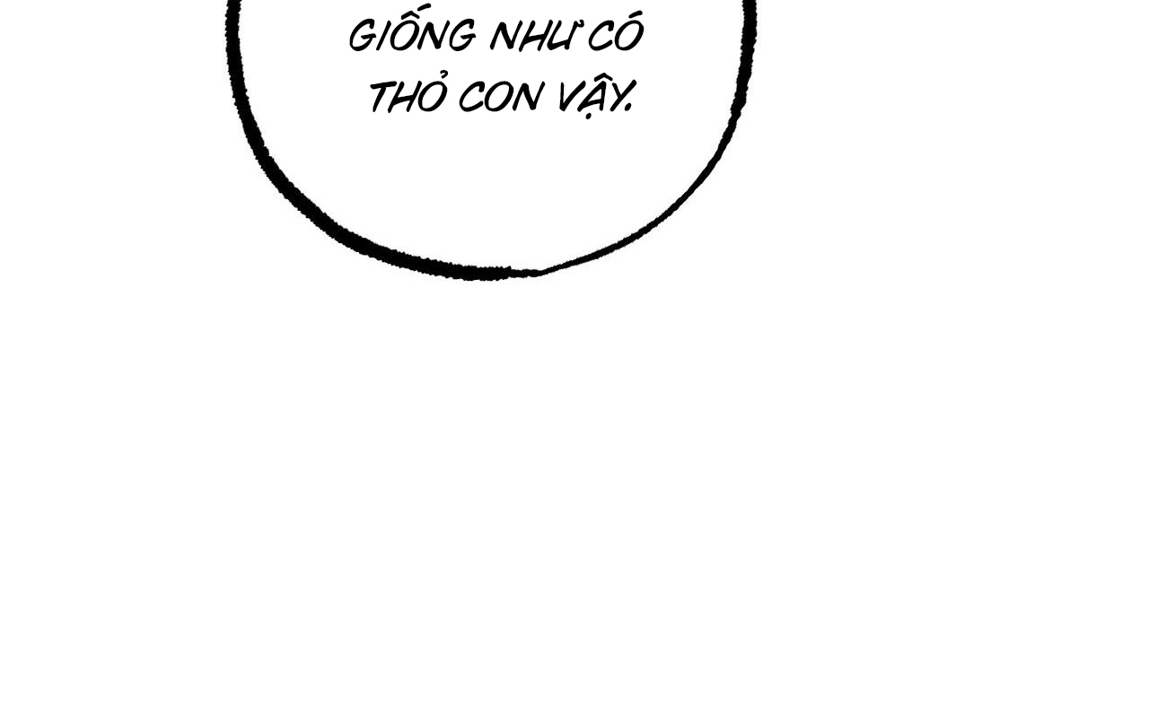 những chú thỏ của hapypy chapter 52 85