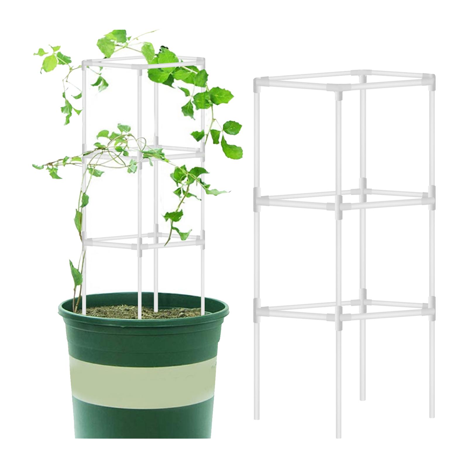 Kệ trồng cà chua 16 inch hỗ trợ dây leo ra hoa quả nhỏ
