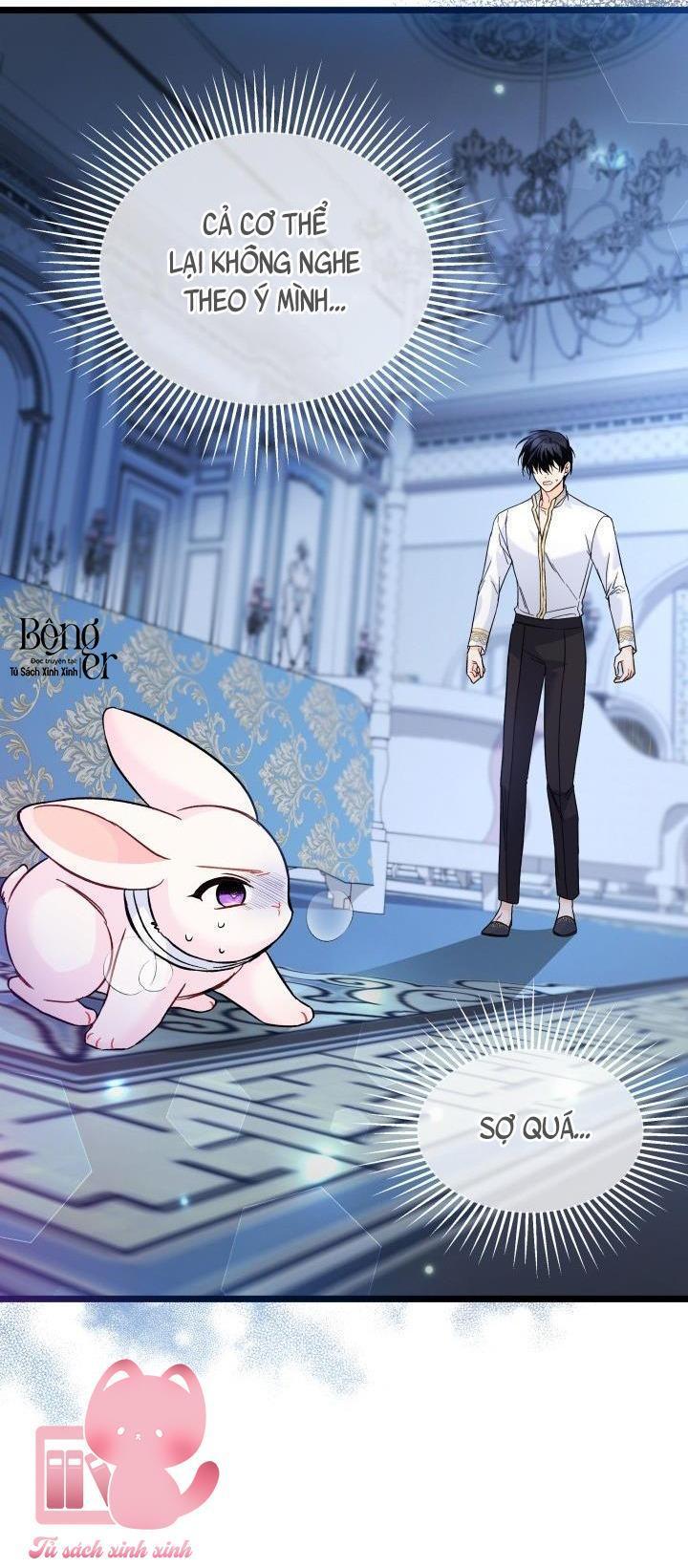 quan hệ cộng sinh giữa báo đen và thỏ trắng chapter 120 9