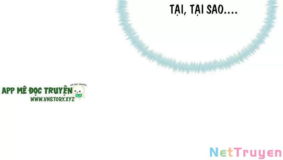 lại bị bệnh chiều chuộng quấn lấy chapter 70 41