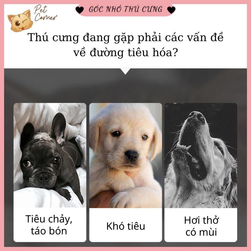 Men tiêu hóa cho chó mèo Borammy Probiotics