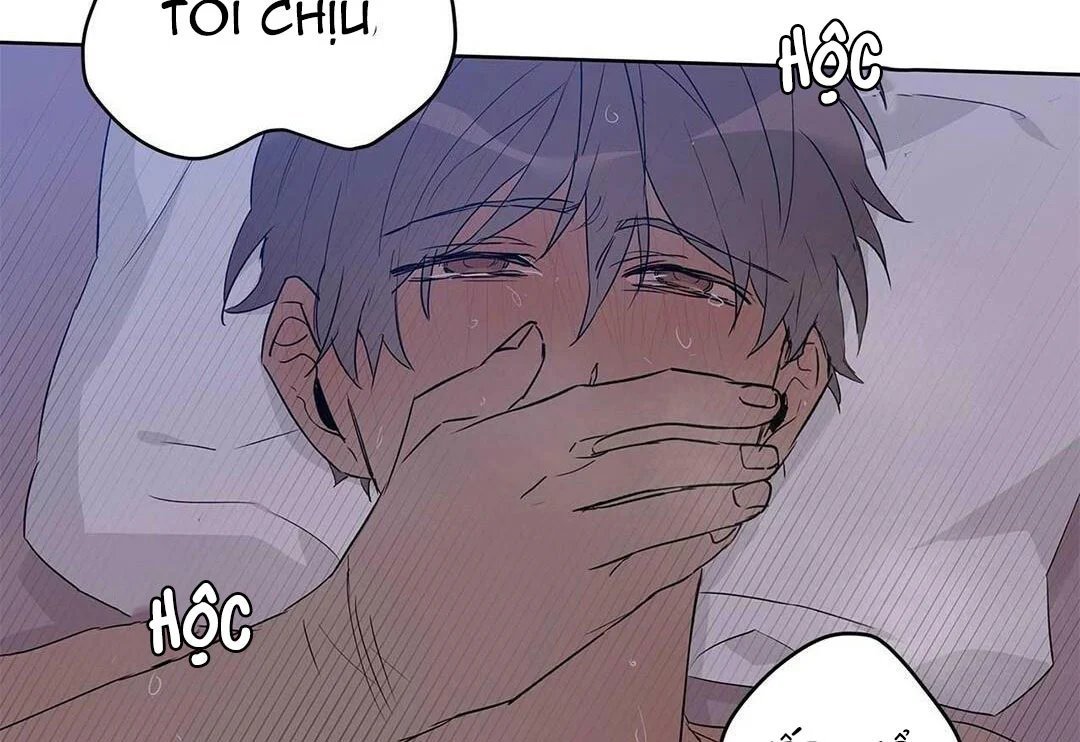 guide cấp b chapter 21 117