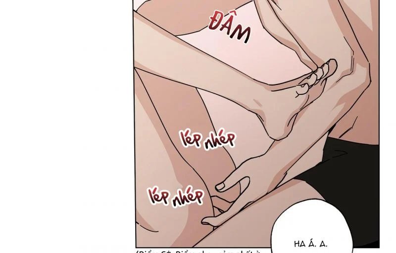 home five chapter 13 144