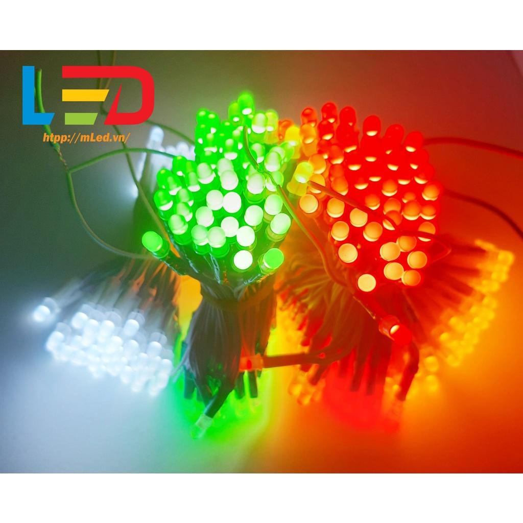 Led liền dây 100 bóng điện áp 5V và 12V, Led ruồi đơn sắc