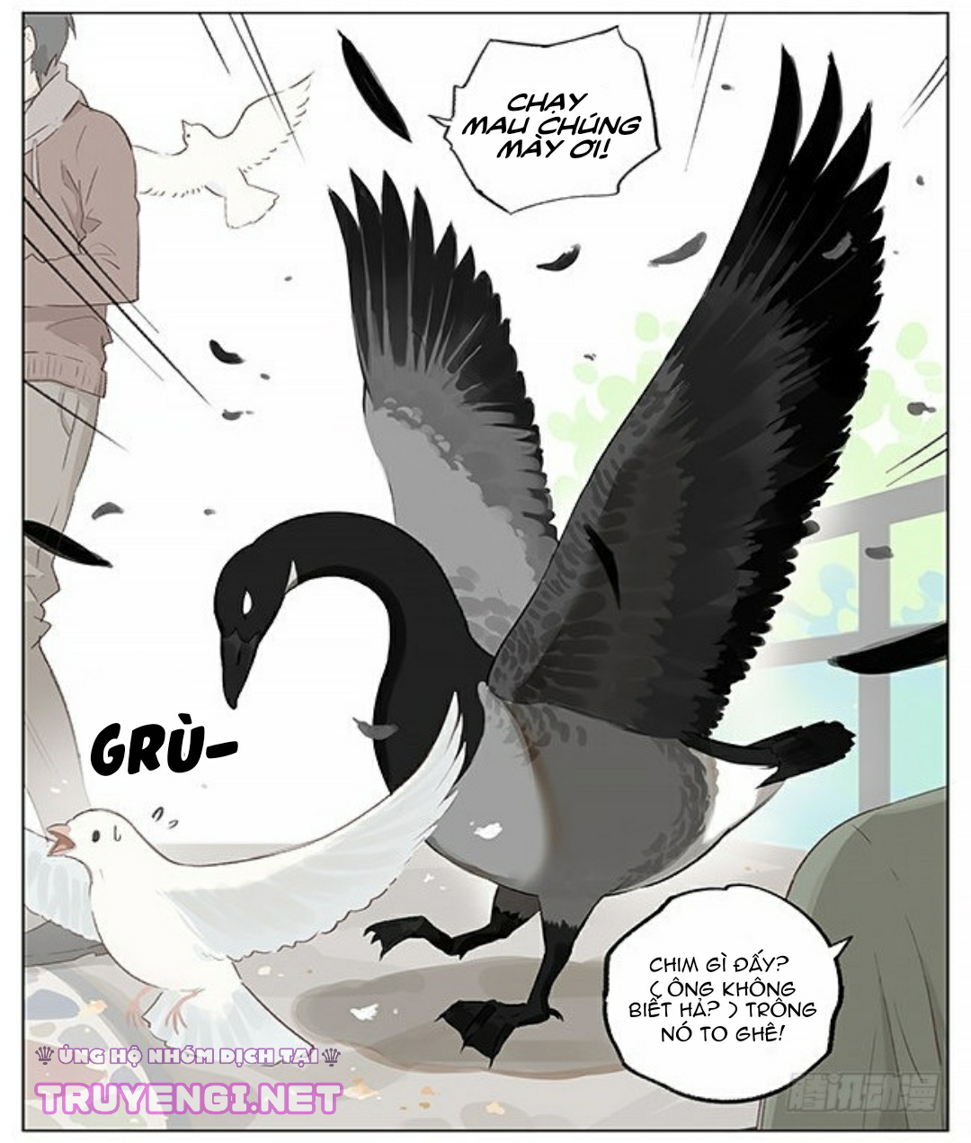 sẻ chiếu mới và nhạn phong sương chapter 2 5