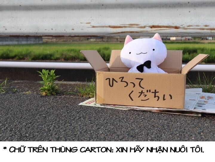 chú mèo kỳ diệu kyuu-chan chapter 800 22