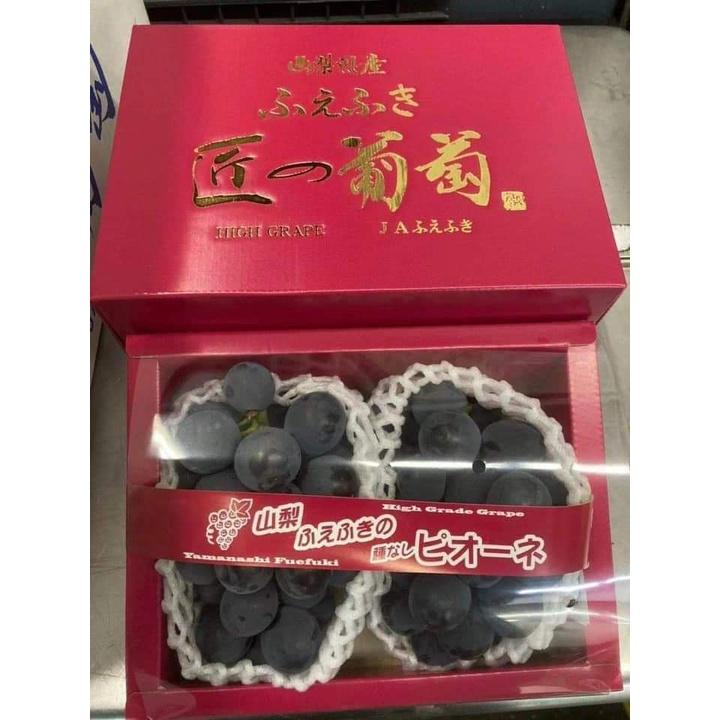 Cây Giống Nho đen Kyoho Nhật Bản