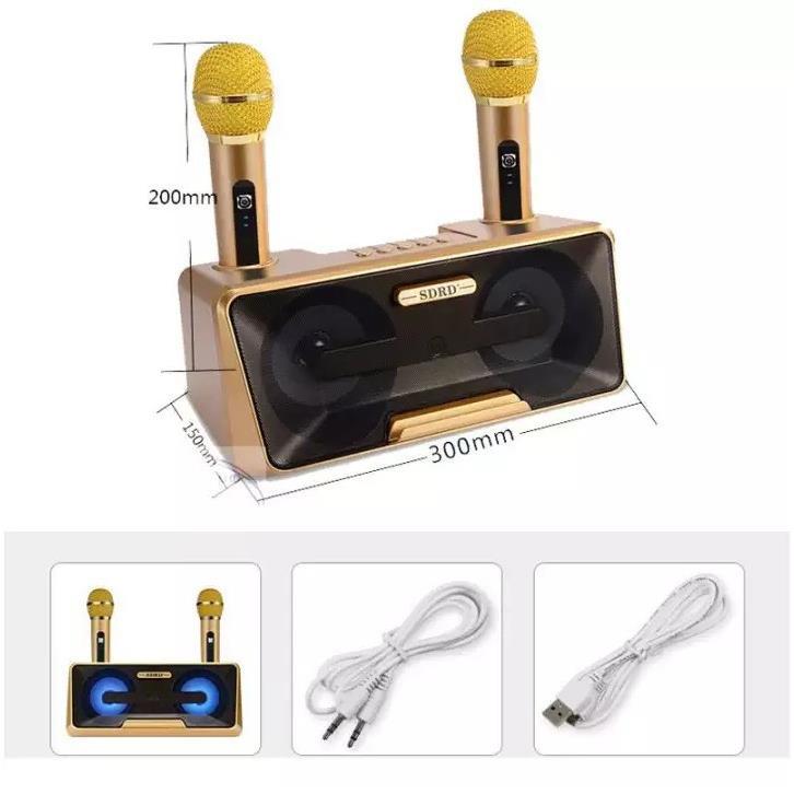 Loa Karaoke SD 301 - SD 306 - SD 309 Kèm 2 Micro Không Dây tích hợp bluetooth 4.0 - usb - thẻ nhớ