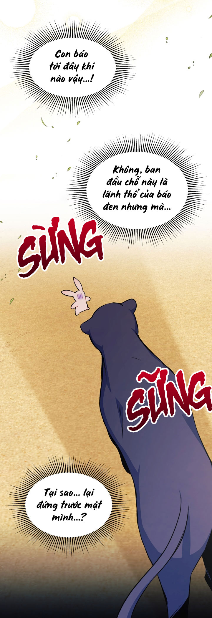 mối liên kết giữa báo đen và bé thỏ chapter 23 11