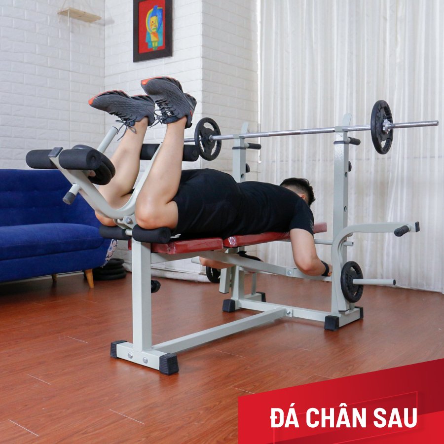 Giàn tạ đa năng Zasami DV 2014 kèm 54kg tạ gang , đòn tạ 1m5, 1 găng tay tập tạ