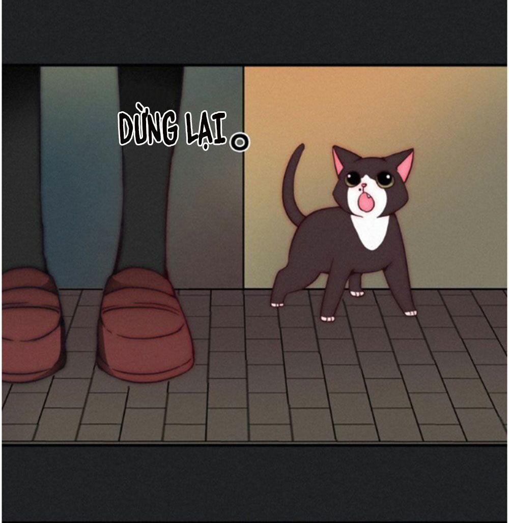 bí mật bóng đêm chapter 2 47