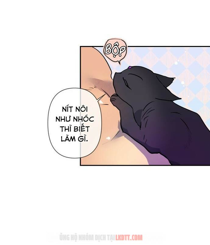 tôi đang nuôi dưỡng một con quái thú chapter 4 42