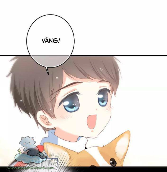 con tim rung động 3 chapter 59.2 25