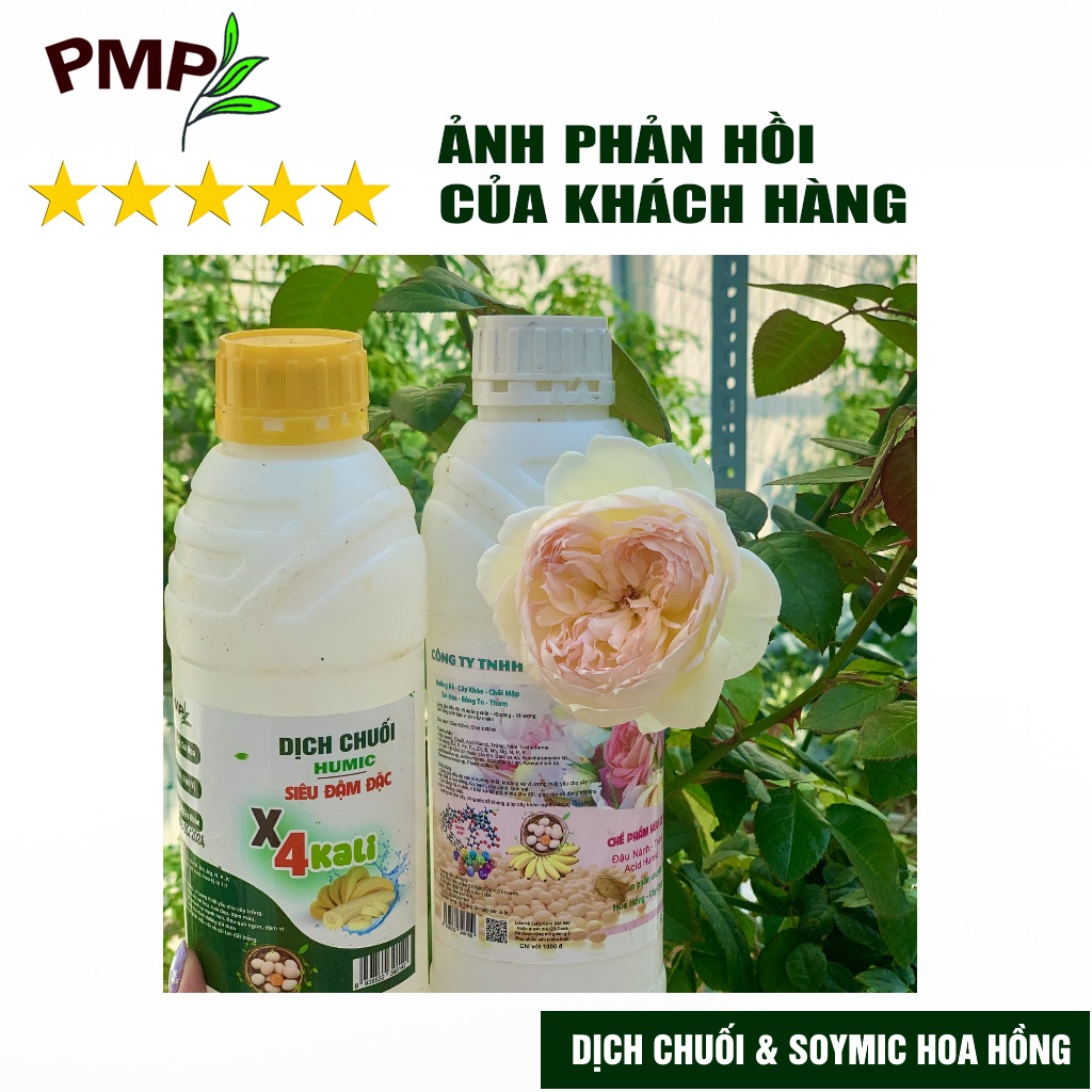 Phân Bón Hoa Hồng Combo Phân Đậu Nành Soymic - Dịch Chuối Humic ( 2 Chai x 1 L)