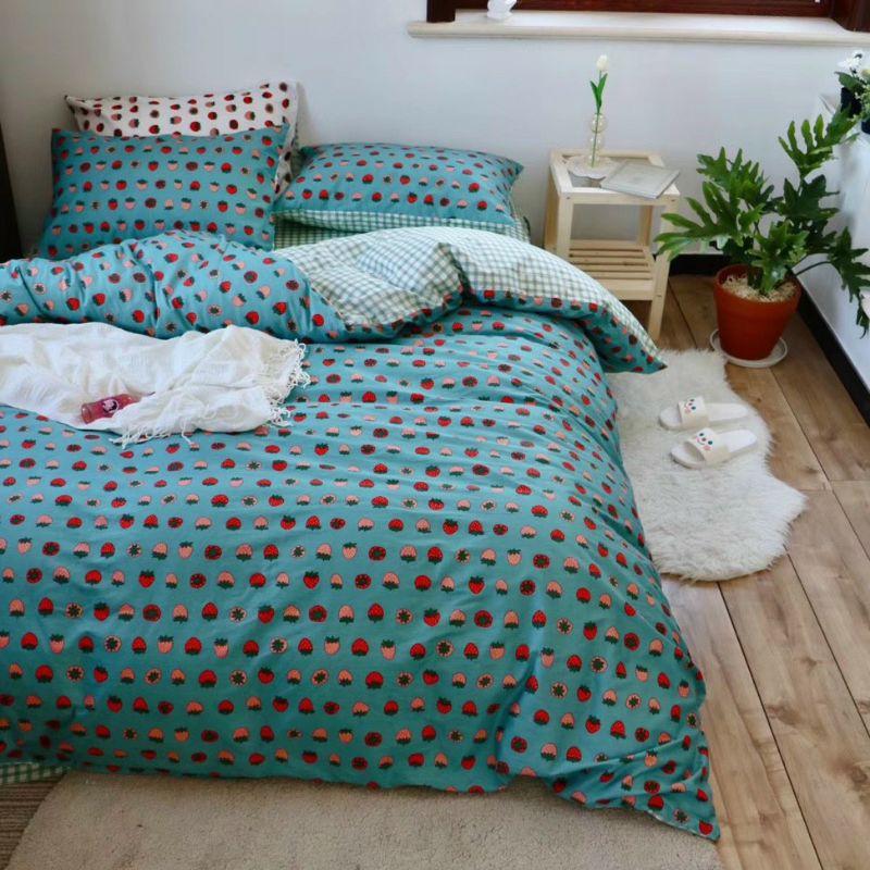 Set Chăn Ga Gối Cotton Living
