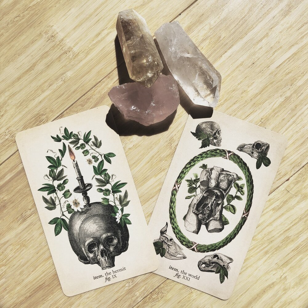 Bộ Bài Tarot The Antique Anatomy 78 Lá Bài