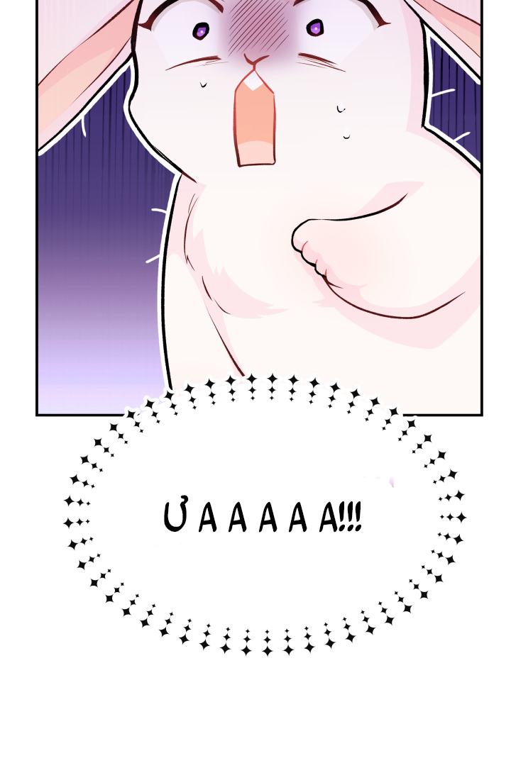 mối liên kết giữa báo đen và bé thỏ chapter 3 4