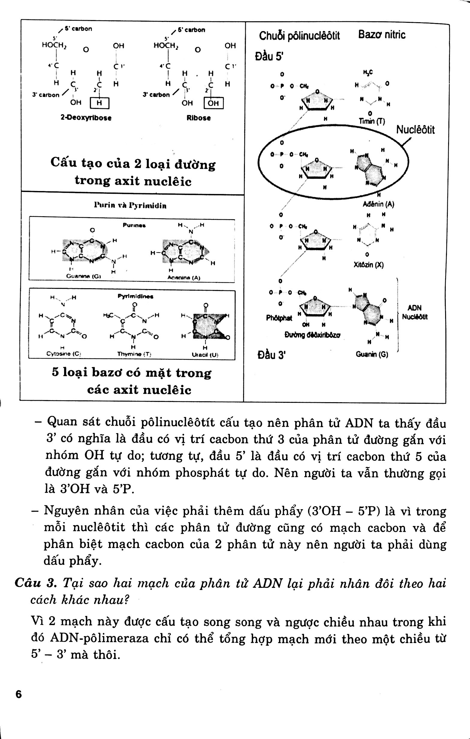 Kiến Thức Chi Tiết Và Pp Làm Bài Trắc Nghiệm Sinh Học 12