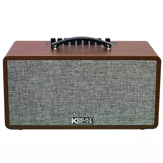 Loa Kéo Karaoke Acnos KS363H - Công Suất 100W - Kèm 2 Micro Không Dây - Hàng Chính Hãng