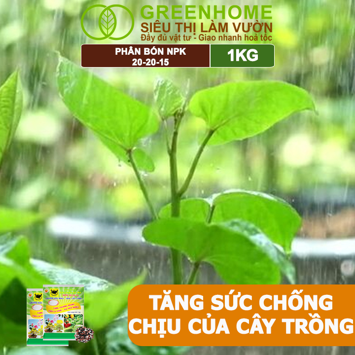 Phân Bón NPK 20-20-15, Greenhome, Đầu Trâu, 1Kg, Chuyên Hoa, Cây Cảnh Giúp Ra Hoa, Hoa Đẹp, Lâu Tàn