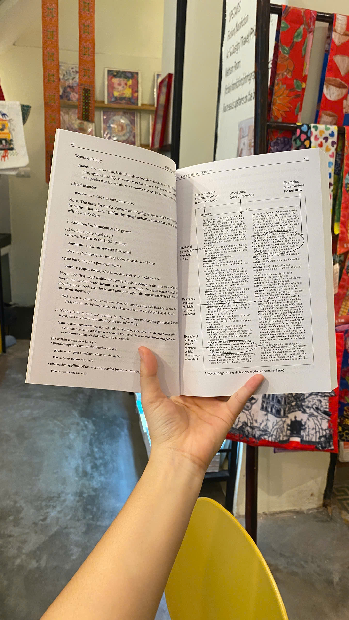 Sách - English-Vietnamese Dictionary | Từ điển Anh - Việt / Học Tiếng Việt / Sách Nhập khẩu