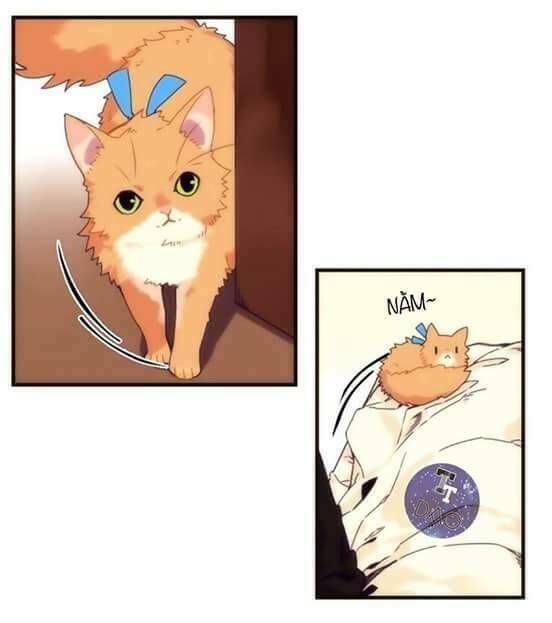 biểu đồ của linh mục chapter 4 45