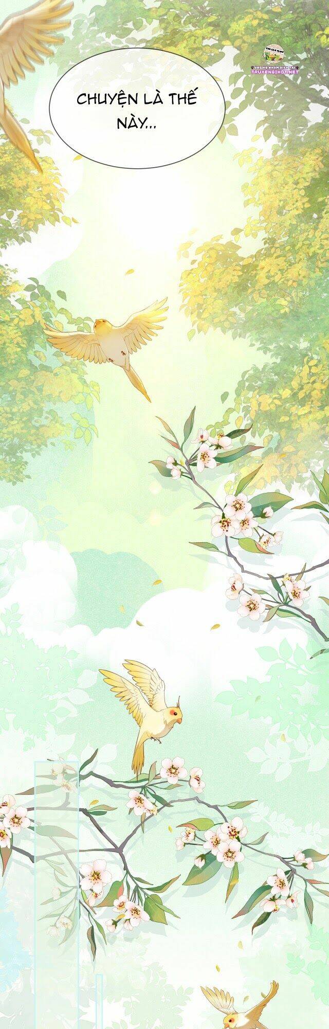 hắc hóa nam chính trực tuyến nuôi thỏ chapter 13 21