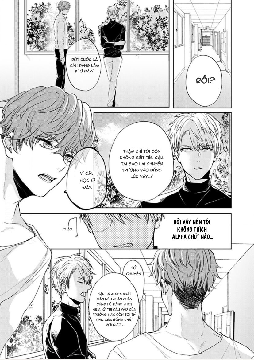 vết cắn tình đầu chapter 2 13