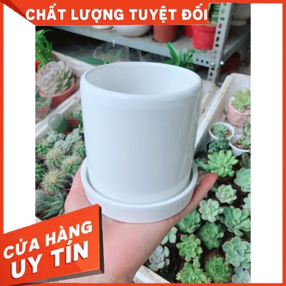 Chậu kiểu trắng trơn có dĩa lót