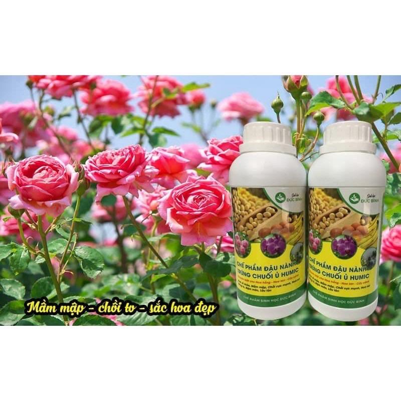 Chế phẩm đậu nành trứng chuối ủ Humic chai 500ml