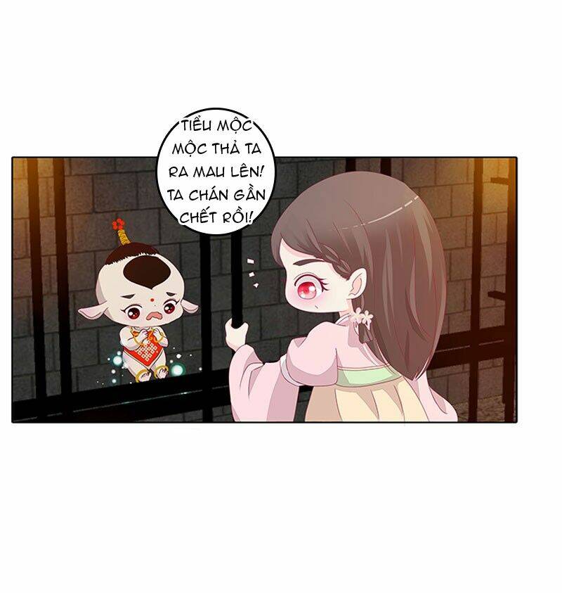 tướng quân mời ra trận chapter 76 10