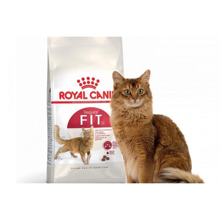 Royal Canin Fit 32 Thức ăn cho mèo bao 10 kg