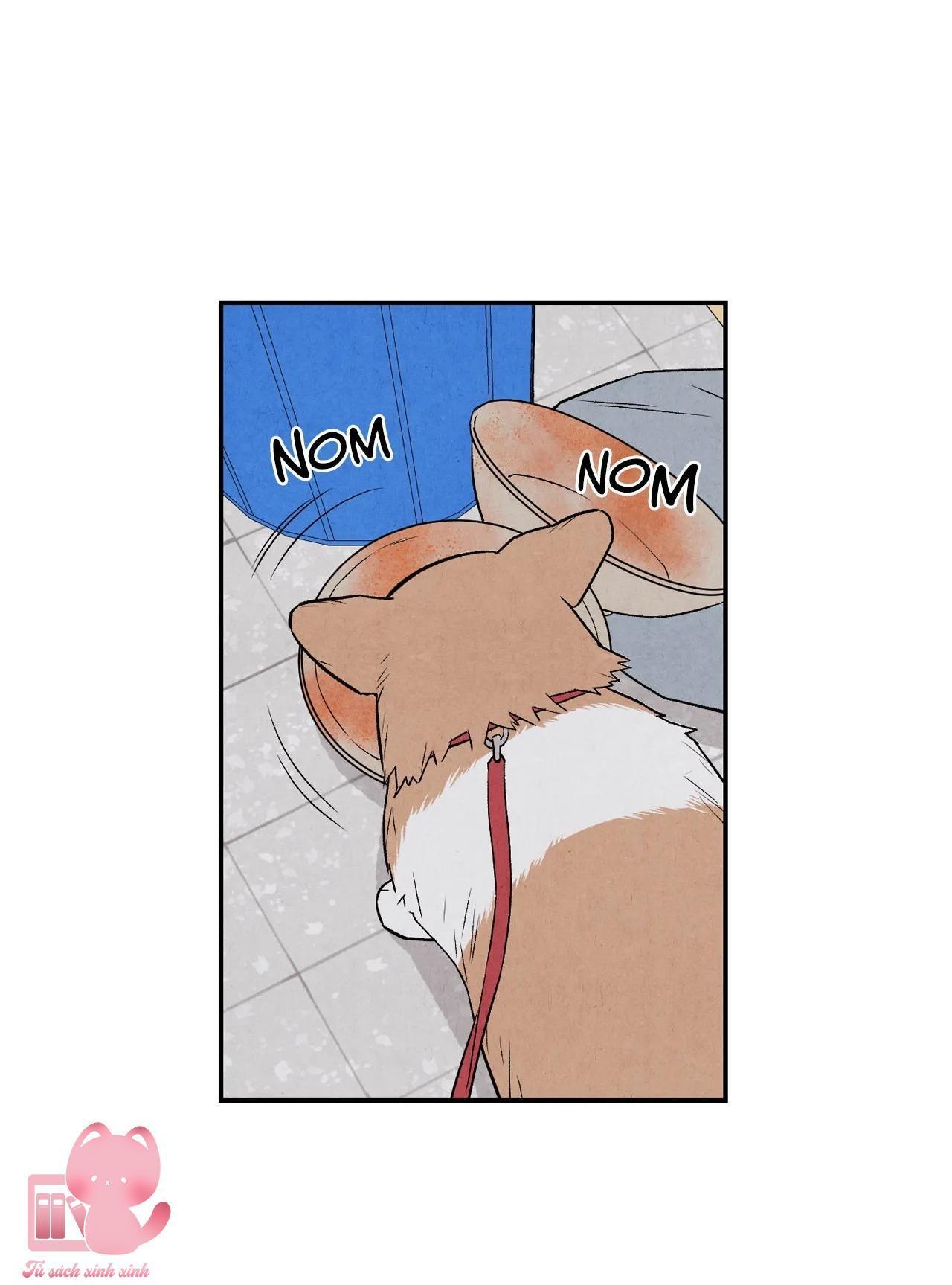 1 plus 1 chapter 14 51