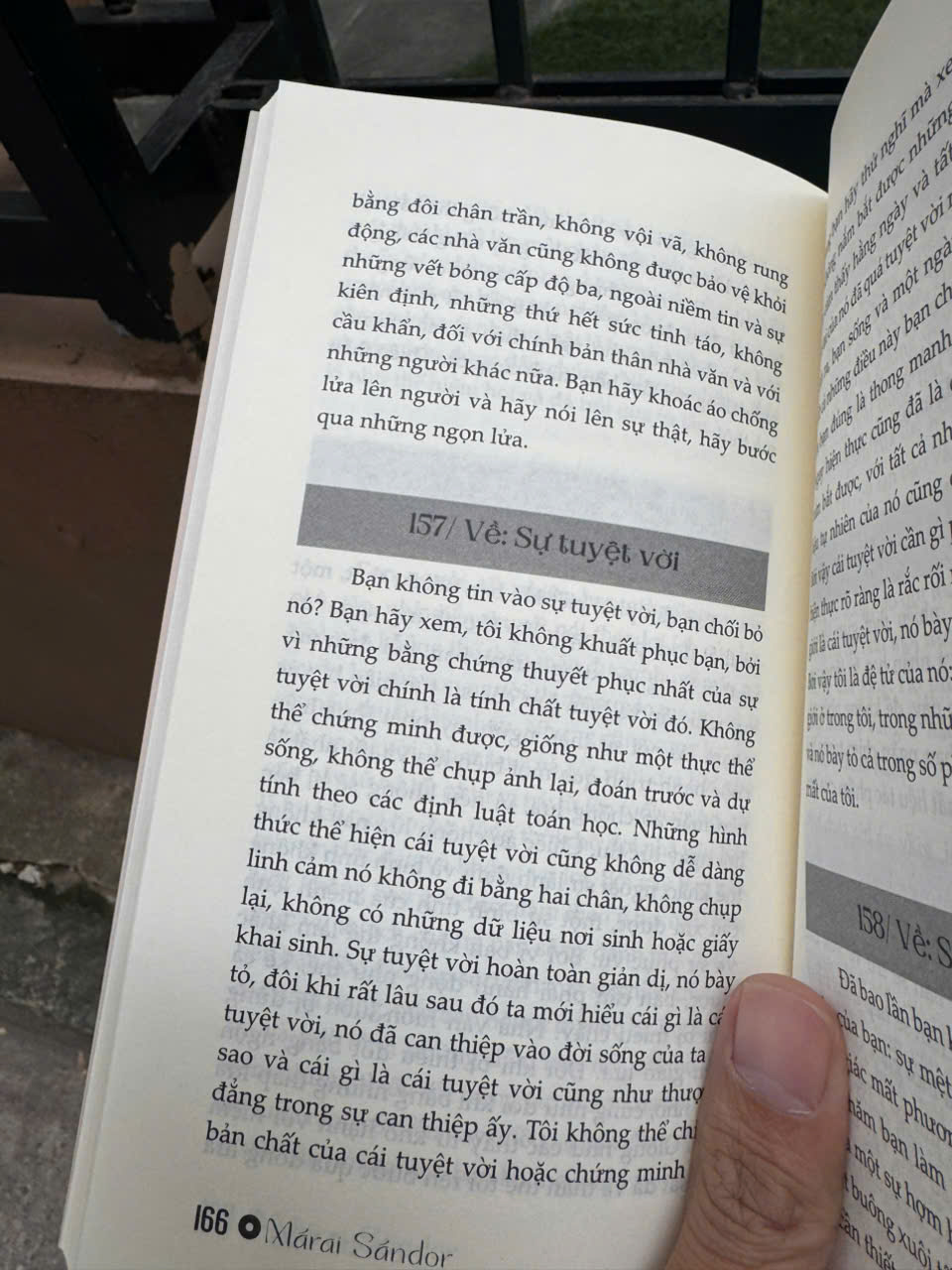 (Ấn bản H666) LỜI CỎ CÂY - Bàn về thân phận con người trong cuộc đời - Márai Sándor – Đông Tây