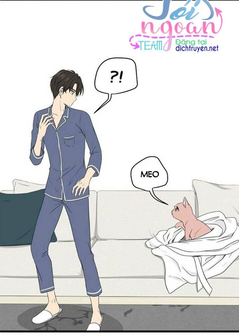 cuộc sống kỳ thú chapter 2 35