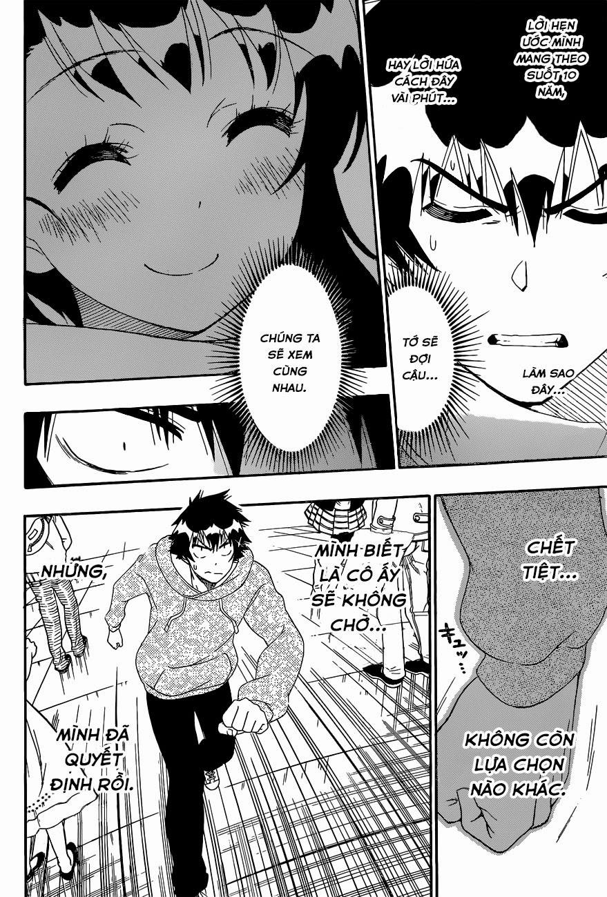 nisekoi - tình yêu giả tạo chapter 167 16