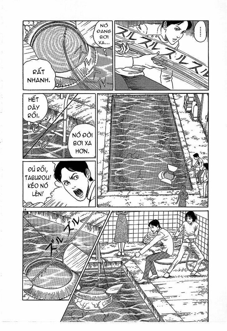 black paradox chapter 5 14