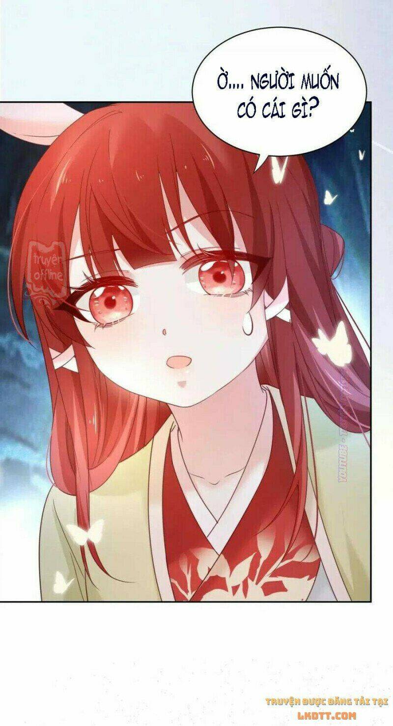 hắc hóa nam chính trực tuyến nuôi thỏ chapter 53 27