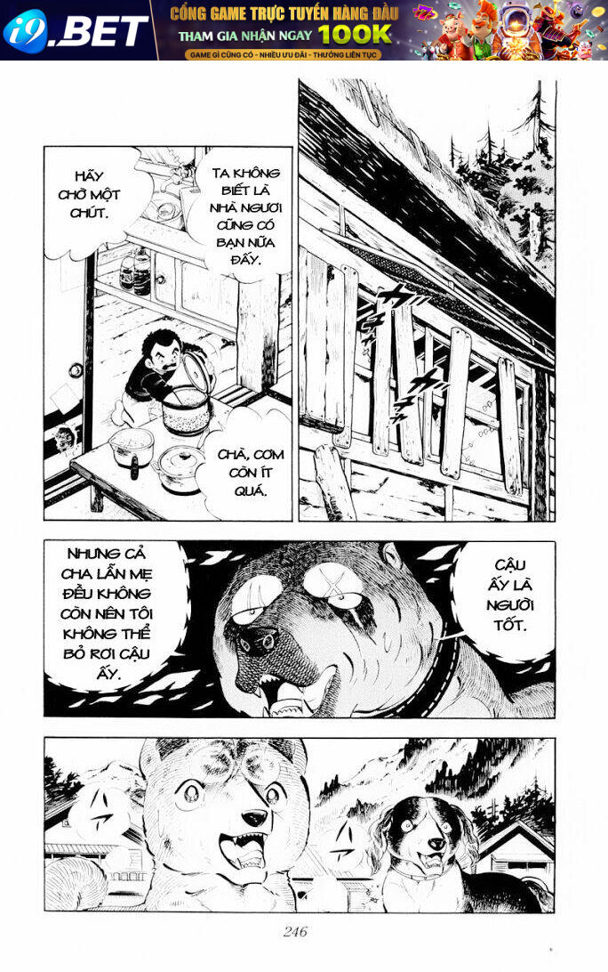 chú chó có nghĩa - ginga nagareboshi gin chapter 30 4