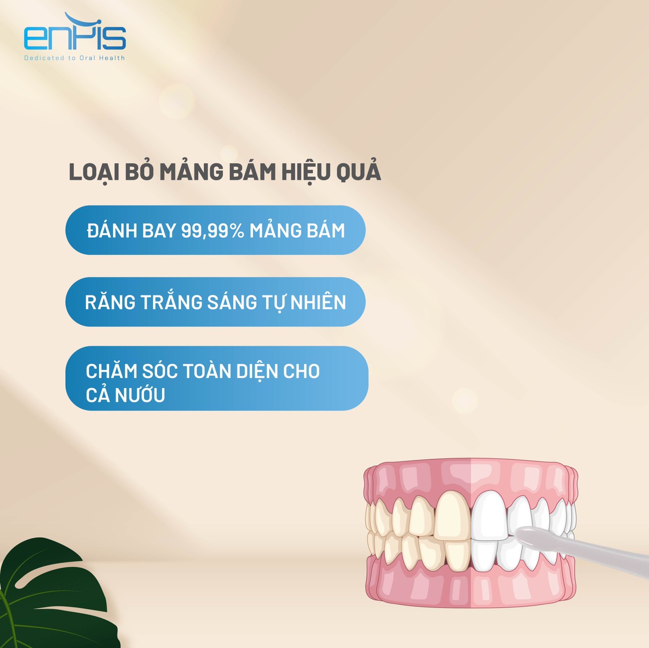 Bộ 2 Đầu Bàn Chải Điện Thông Minh Enpis, Thay Thế Cho Đầu Bàn Chải Điện Người Lớn Enpis T2130,  Công Nghệ Sóng Âm Sonic, Kháng Nước IPX7, Lông Bàn Chải Với Công Nghệ DuPont Mềm Mại Giúp Răng Luôn Sạch Và Bóng – Hàng Chính Hãng