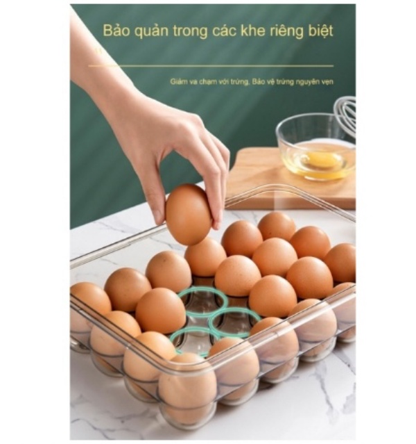 Hộp đựng bảo quản trứng 24 ngăn