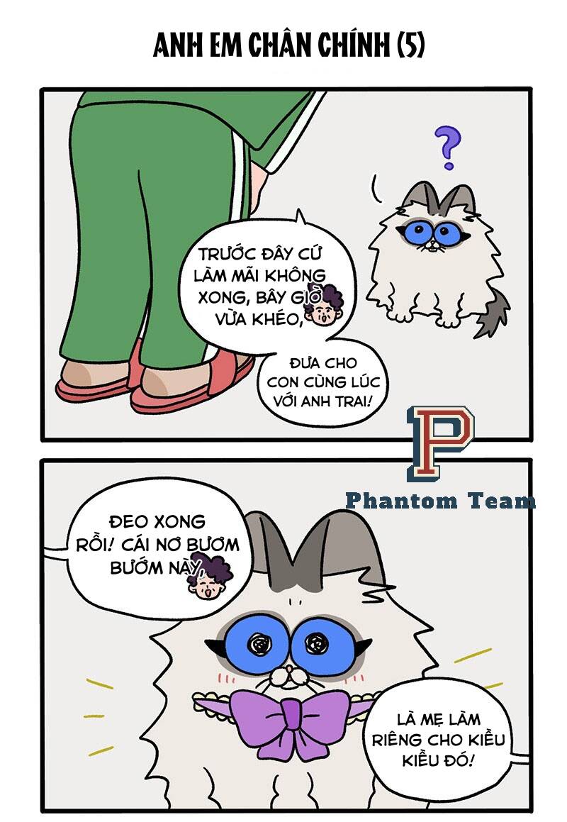 a mãn và mạch trà chapter 49.1 3