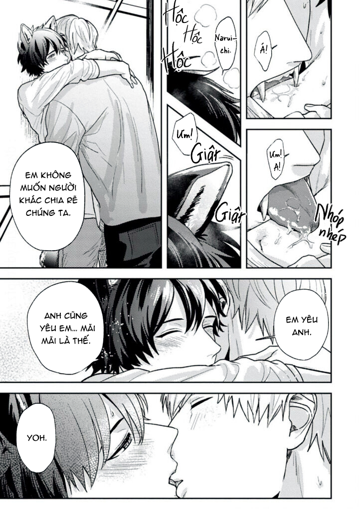 mật ngọt dã thú chapter 6 26