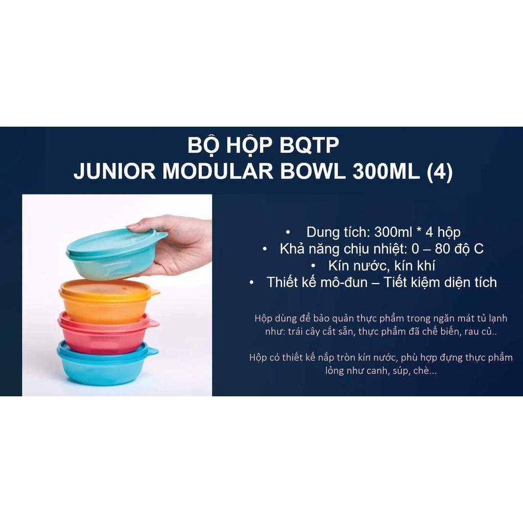 Bộ Hộp Bảo Quản Thực Phẩm Tupperware Junior Modular Bowl 300ml Set (4 Hộp)