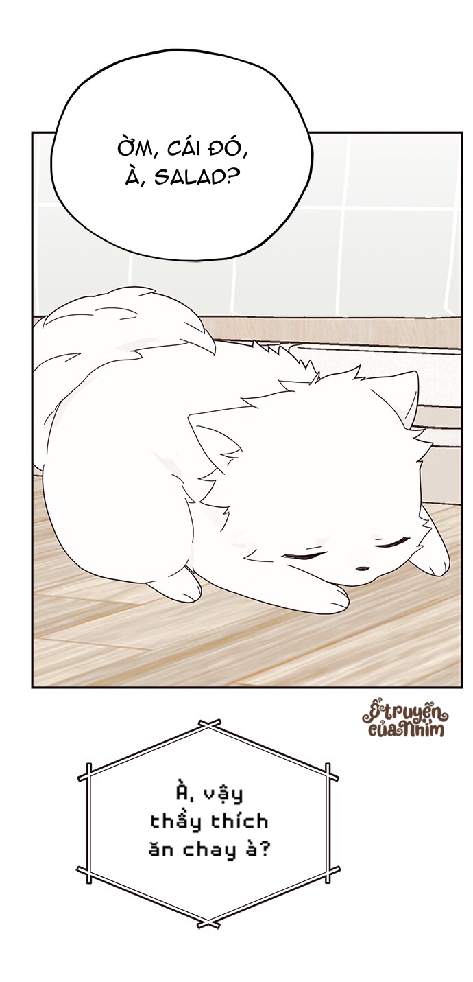 sợi chỉ nhân duyên của sarang chapter 22 28