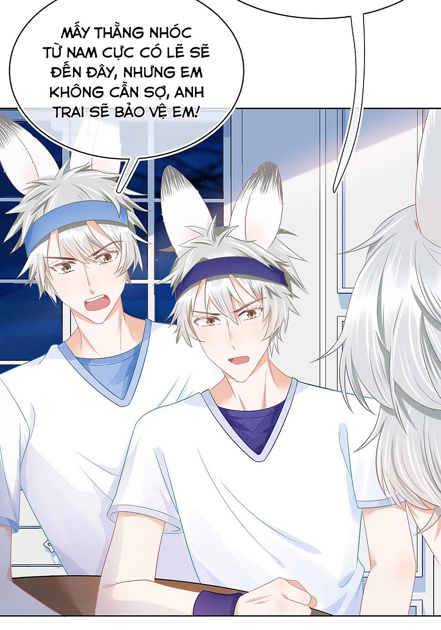 [ss2] một ngụm ăn cả thỏ con chapter 0 53