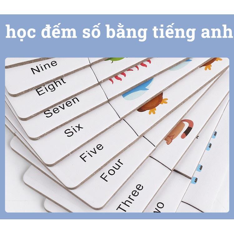 Bộ giáo cụ que tính học toán và thẻ ghép số học phép tính tư duy, giáo cụ cho bé